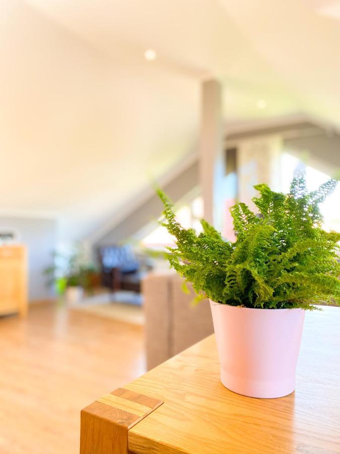 Appartement Fewo Sulzer Siedlung Erfurt Extérieur photo
